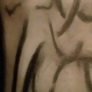 Meet your Posher, Elaine